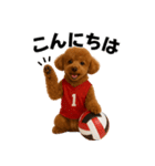 使える！バレーボールプードル（個別スタンプ：7）