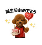 使える！バレーボールプードル（個別スタンプ：39）