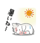 ちびねっこ2☆ずっと使える + 夏（個別スタンプ：9）