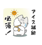 ちびねっこ2☆ずっと使える + 夏（個別スタンプ：10）