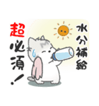 ちびねっこ2☆ずっと使える + 夏（個別スタンプ：11）