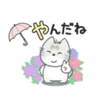 ちびねっこ2☆ずっと使える + 夏（個別スタンプ：14）