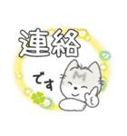 ちびねっこ2☆ずっと使える + 夏（個別スタンプ：26）