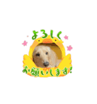 ダックス1番（個別スタンプ：9）