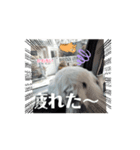 超可愛いぺっと（個別スタンプ：8）
