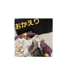動くれおてり（個別スタンプ：4）
