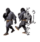 ゴリラ×悪徳米大臣！3Dリアル（個別スタンプ：23）