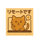 面接猫（個別スタンプ：14）