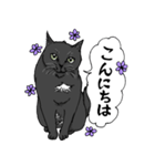 エンジェルマークの黒猫♡くろ（個別スタンプ：1）