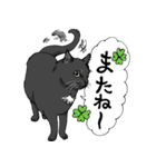エンジェルマークの黒猫♡くろ（個別スタンプ：7）