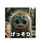 リアル写真サボテンのとげとげ日常（個別スタンプ：13）