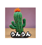 ニヤリもほのぼのも！百面相サボテン（個別スタンプ：33）