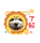 ぷっちゃんハッピースタンプ（個別スタンプ：2）