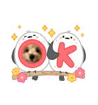 ぷっちゃんハッピースタンプ（個別スタンプ：3）