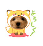 ぷっちゃんハッピースタンプ（個別スタンプ：5）