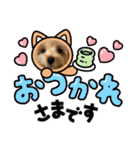 ぷっちゃんハッピースタンプ（個別スタンプ：7）