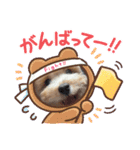 ぷっちゃんハッピースタンプ（個別スタンプ：10）
