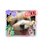 ぷっちゃんハッピースタンプ（個別スタンプ：15）