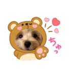 ぷっちゃんハッピースタンプ（個別スタンプ：17）