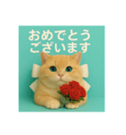 まるっと猫から愛のメッセージ（個別スタンプ：6）