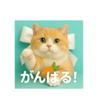 まるっと猫から愛のメッセージ（個別スタンプ：16）