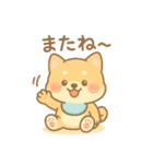 芝まるの毎日つかえるスタンプ（個別スタンプ：1）
