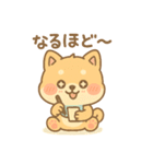 芝まるの毎日つかえるスタンプ（個別スタンプ：19）