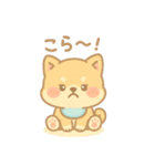 芝まるの毎日つかえるスタンプ（個別スタンプ：25）
