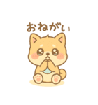 芝まるの毎日つかえるスタンプ（個別スタンプ：26）