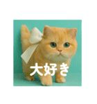 まるっと愛を伝えるネコ（個別スタンプ：2）