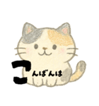【毎日】前向きポジティブにゃんこ（個別スタンプ：13）