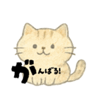 【毎日】前向きポジティブにゃんこ（個別スタンプ：18）