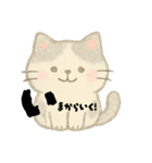 【毎日】前向きポジティブにゃんこ（個別スタンプ：29）