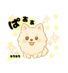 いぬたちと一緒②（個別スタンプ：5）