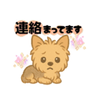 いぬたちと一緒②（個別スタンプ：12）
