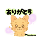 いぬたちと一緒②（個別スタンプ：14）