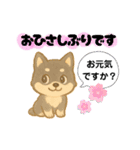 いぬたちと一緒②（個別スタンプ：26）