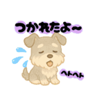 いぬたちと一緒②（個別スタンプ：34）