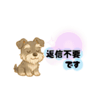 いぬたちと一緒②（個別スタンプ：36）