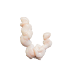 40個の白子 しらこ① 言葉なし 白子ポン酢（個別スタンプ：1）