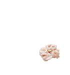 40個の白子 しらこ① 言葉なし 白子ポン酢（個別スタンプ：11）
