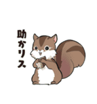 わかめがふえないスタンプ（個別スタンプ：29）