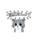 アクションk-gigi16（個別スタンプ：7）