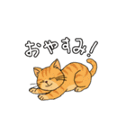 アクションk-gigi16（個別スタンプ：11）