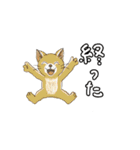 アクションk-gigi16（個別スタンプ：15）