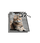 乗せてくよ3（個別スタンプ：2）