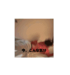 てぃーけーゆー公式1（個別スタンプ：13）