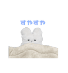 のんびりコロケの毎日使える動くスタンプ（個別スタンプ：21）