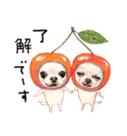 ハッピーワンコまにあ2（個別スタンプ：6）