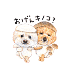 ハッピーワンコまにあ2（個別スタンプ：10）